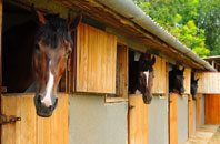 free Luffenhall stable construction quotes